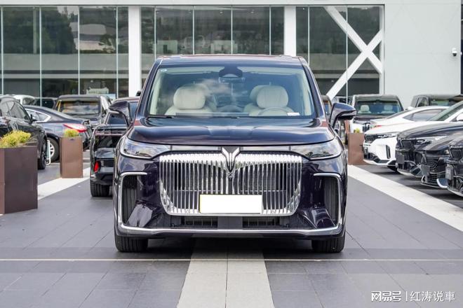 200mm配冷暖冰箱适合商务接待九游会网站全新岚图梦想家：轴距3(图8)